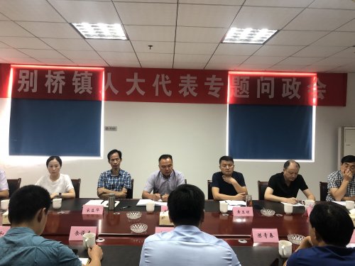 别桥镇组织开展首次人大代表专题问政会