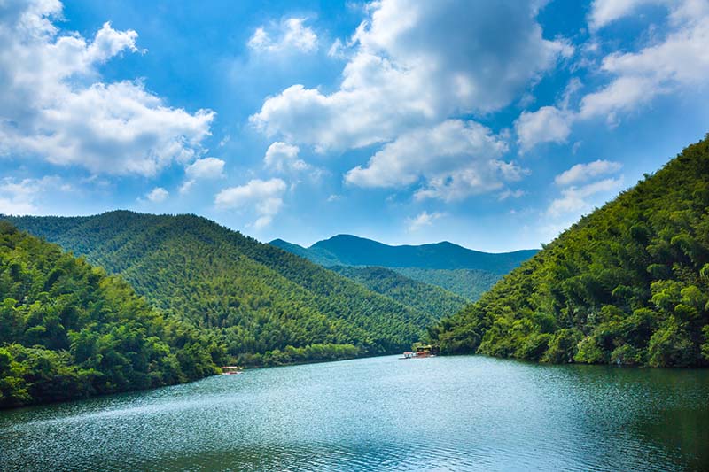 南山竹海