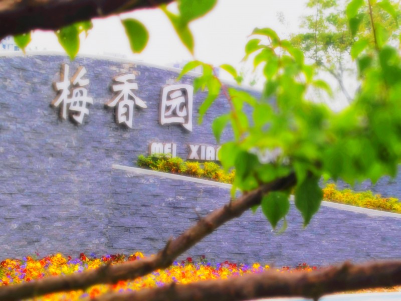 梅香园