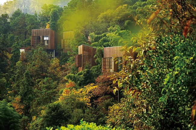 五星级溧阳茶舍——美岕山野温泉度假村