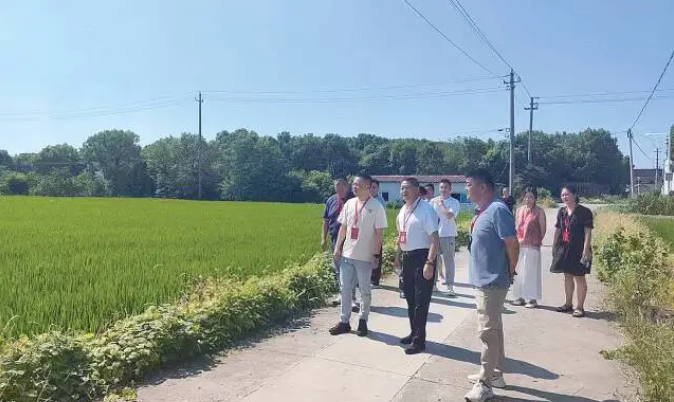 上黄镇： “三项机制”助推滨湖小镇高质量发展新成就